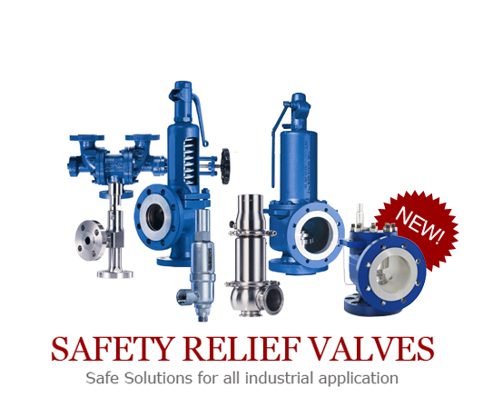 shop for Leser brand safety valves through Advance Valve Inc.
